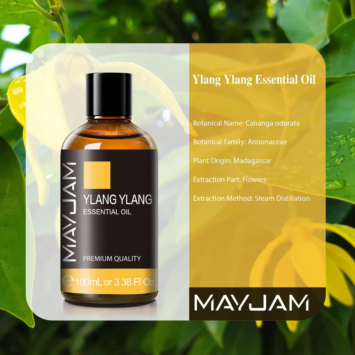 MAYJAM Peppermint Essential Oil 100ML - Premium Diffuser Oil
