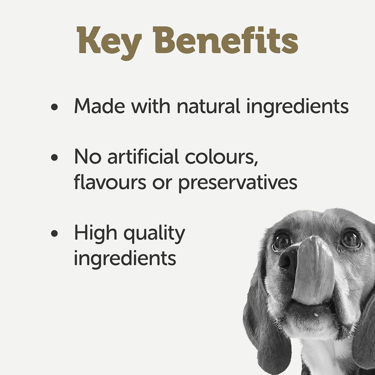 Applaws Natural Wet Dog Food Topper, Chicken Selection in Broth, 8x156g Tin