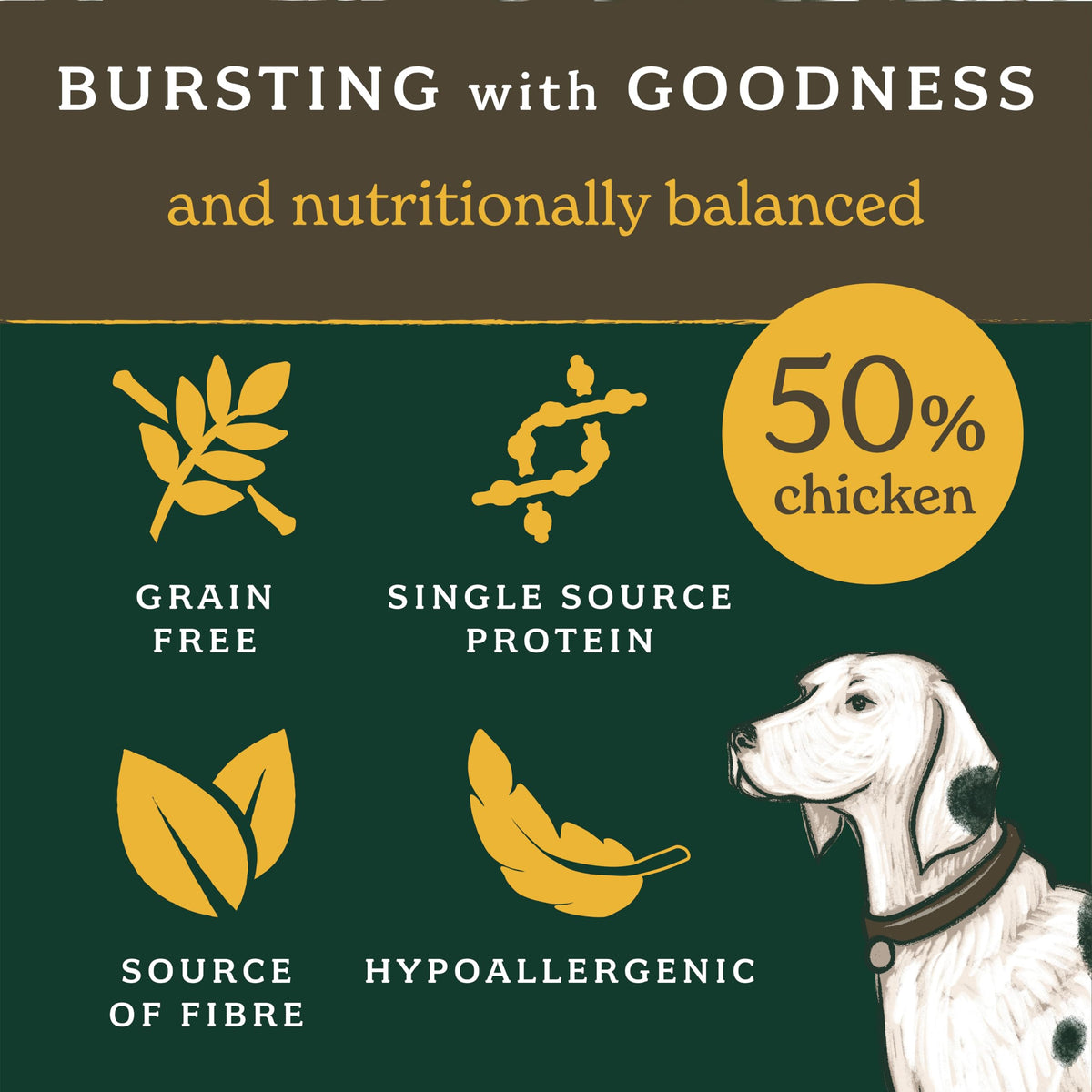 Forthglade Dry Dog Food, Lightly Baked, (2kg), Hypoallergenic and Grain Free Dog Food, Adult 1 Year +, Turkey With Sweet Potato, Completed and Balanced Meal, 50% Single Source Protein