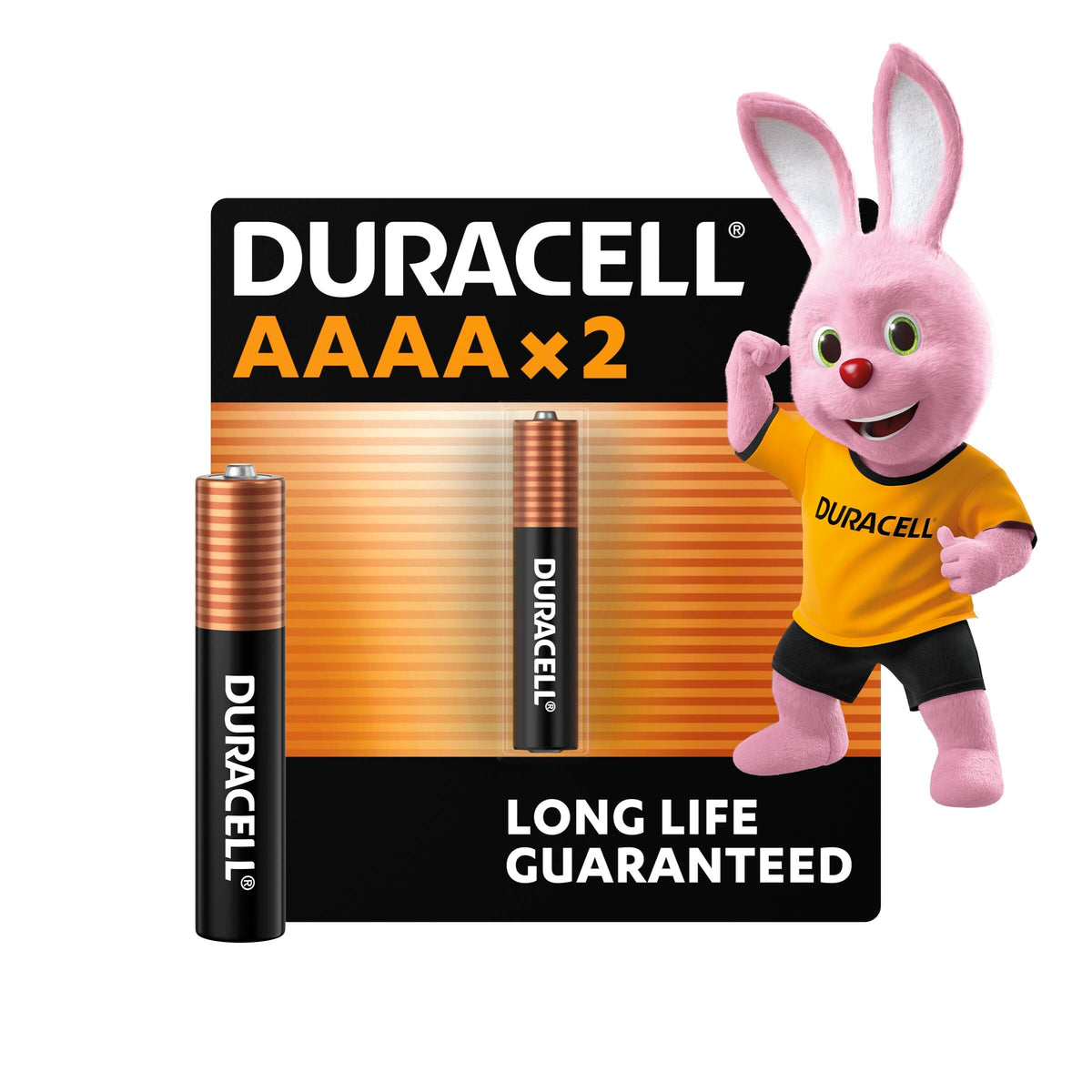 DURACELL 2025 Lithium Coin Batteries (4 Pack) 3V, CR2025
