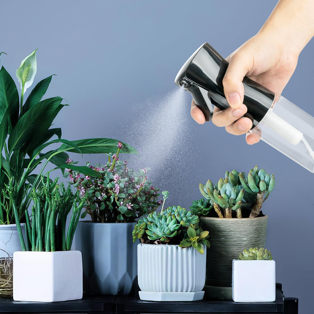 Spray Bottles Continuous Ultra Fine Mist Empty Water Bottles Hairdresser Spray Bottles Salon Hairdresser Hair Tool Water Sprayer (200ML, Mint Green)