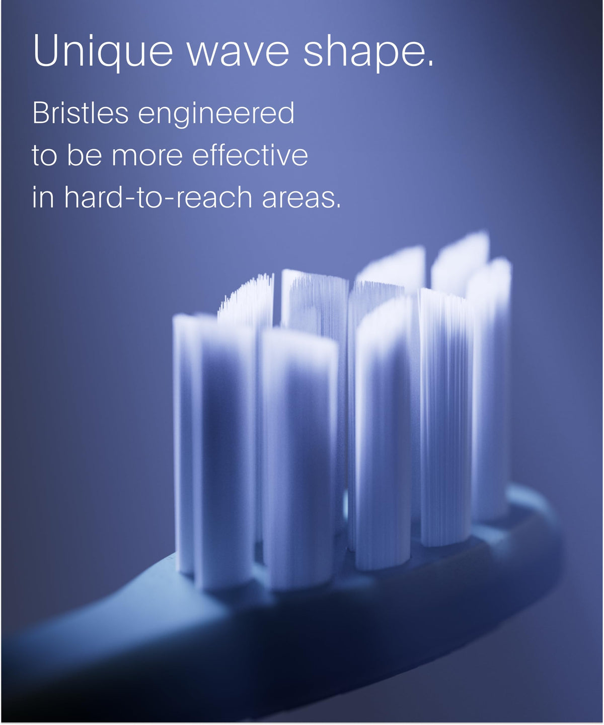 SURI Recyclable Electric Toothbrush Heads | Core & Pro Compatible | Long Lasting Replacement Heads | Pack of 3 | Winter Fern