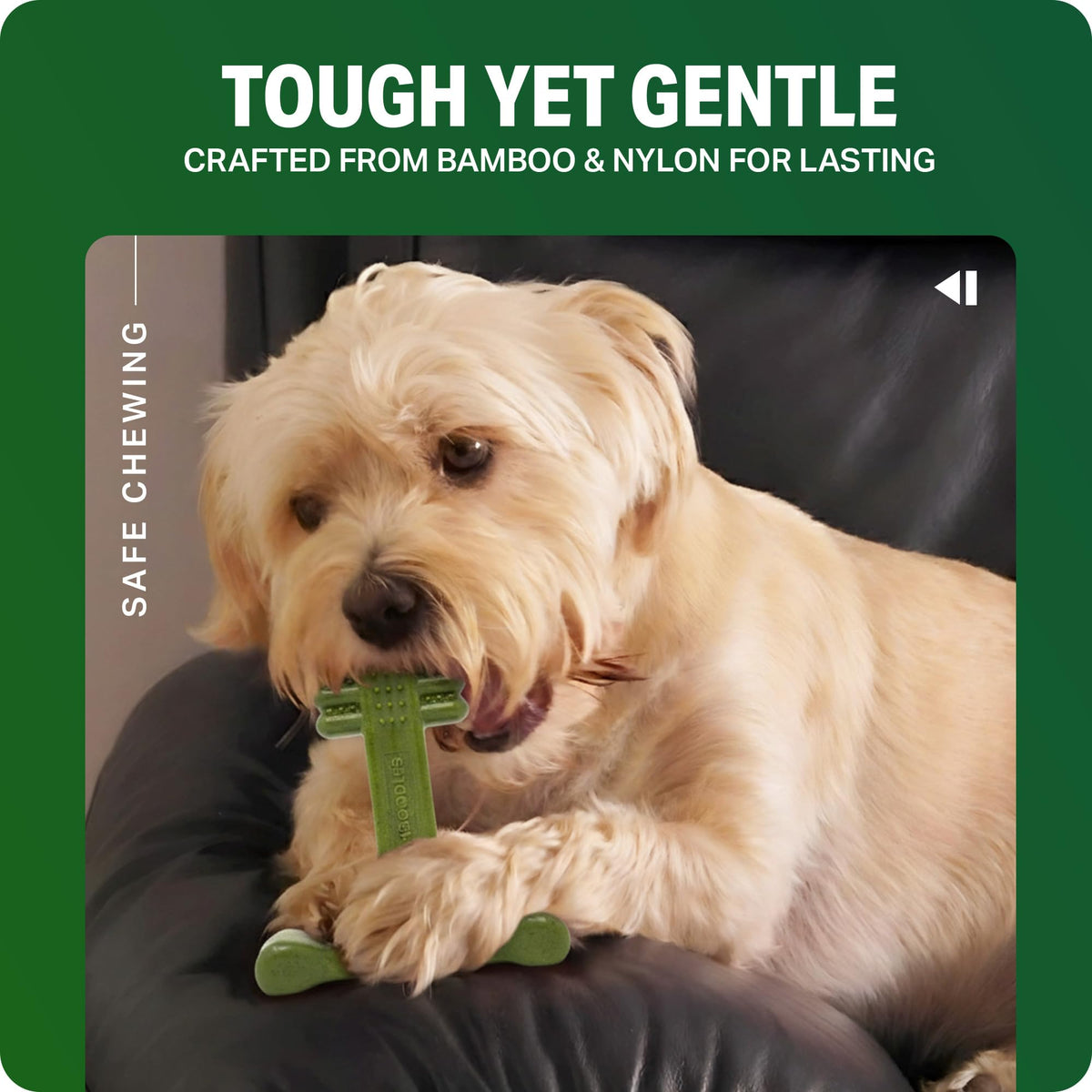 Bamboodles T-Bone Dog Chew Toy – Small | Chicken Flavour | Long Lasting Chew toy for Small Dogs | Durable Chew Toy to Satisfy Chewing Instincts