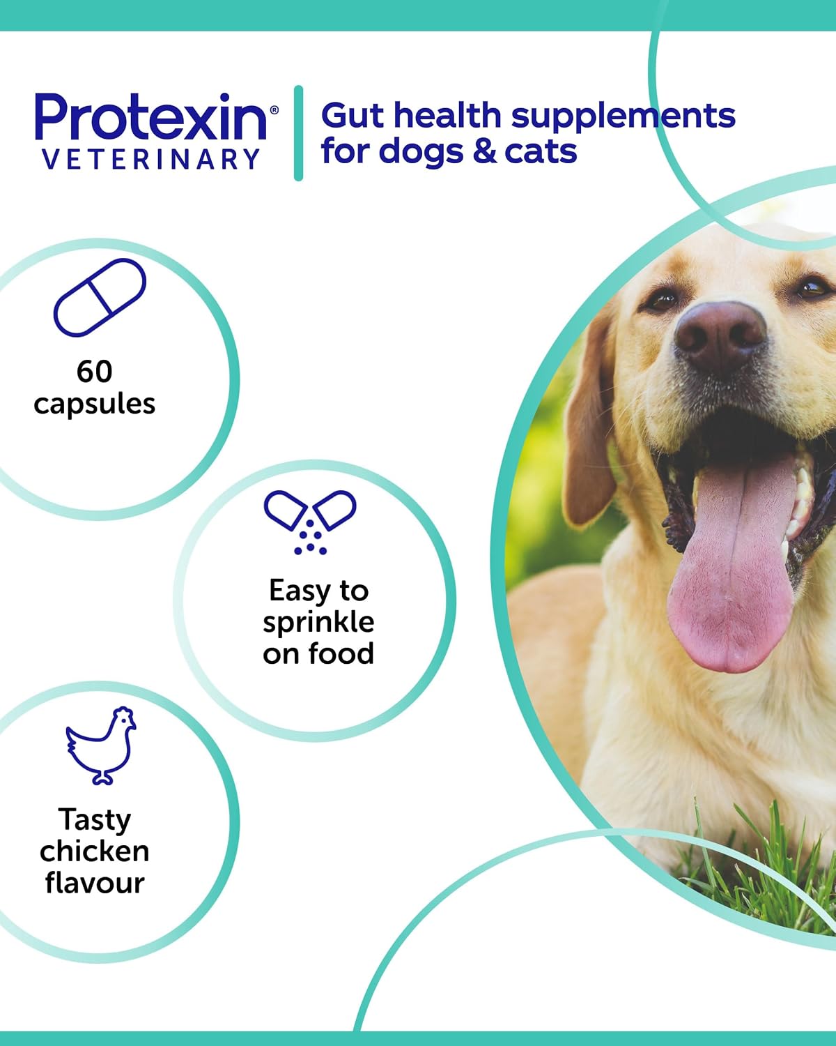 Protexin Veterinary Cobalaplex Capsules for Cats and Dogs, Vitamin B12 and Vitamin B9 Supplement for Gut Health, Chicken Flavour, 60 Capsules