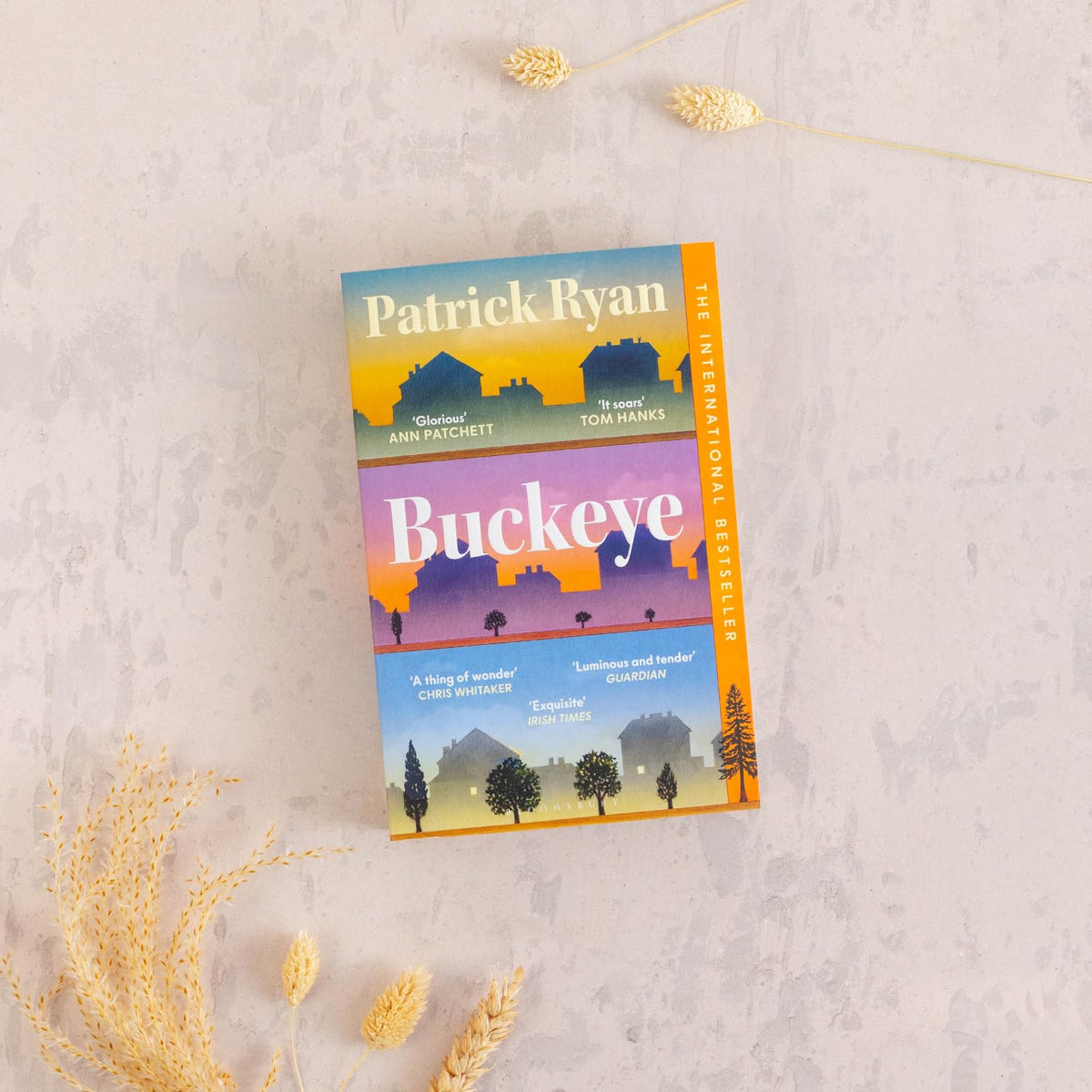 Buckeye: One town. Two families. A secret that changes everything