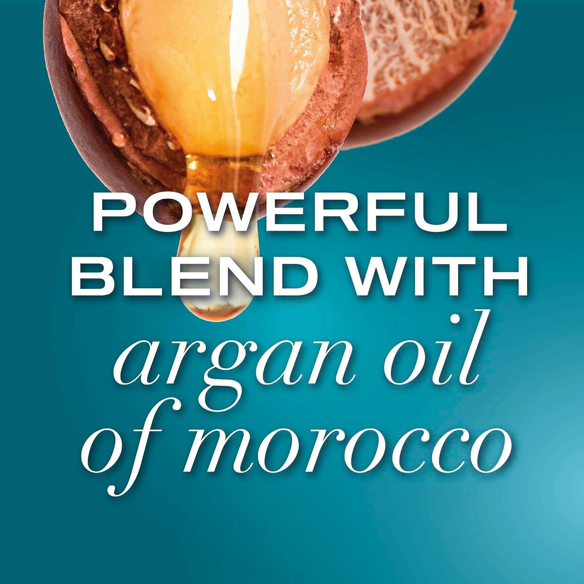 OGX Argan Oil of Morocco Sulfate Free Shampoo for Dry Hair, 385ml (Pack of 3)