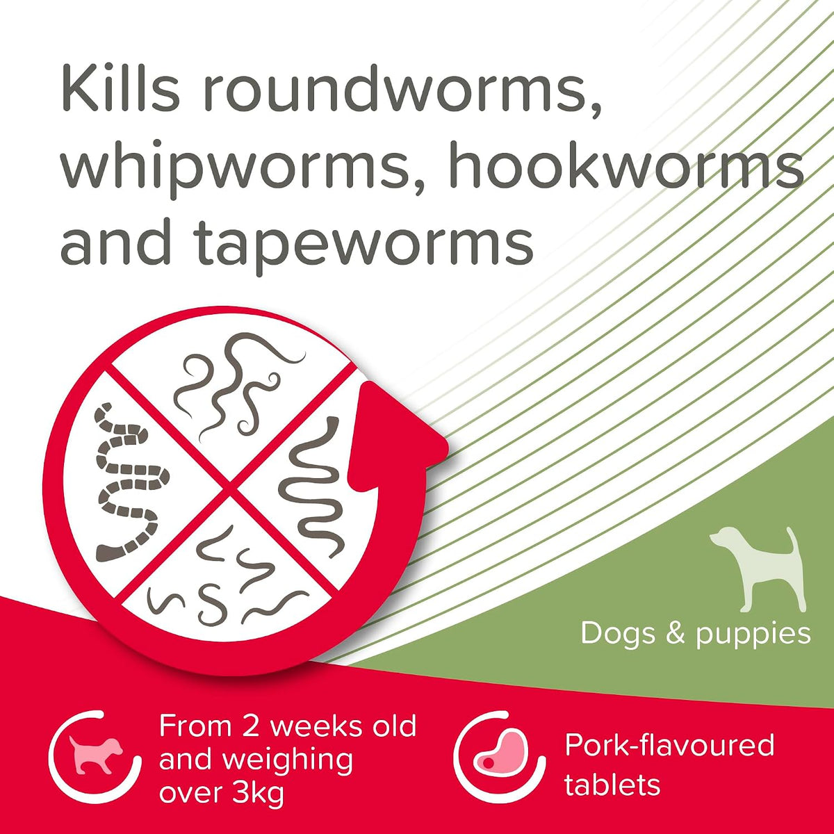 Beaphar - WORMclear® Tablets for Dogs up to 40kg - 4 Tablets - Kills All Common UK Intestinal Worms (Roundworms & Tapeworms) - Vet Strength Wormer - Pork-Flavoured - For dogs over 2 weeks old & 3kg