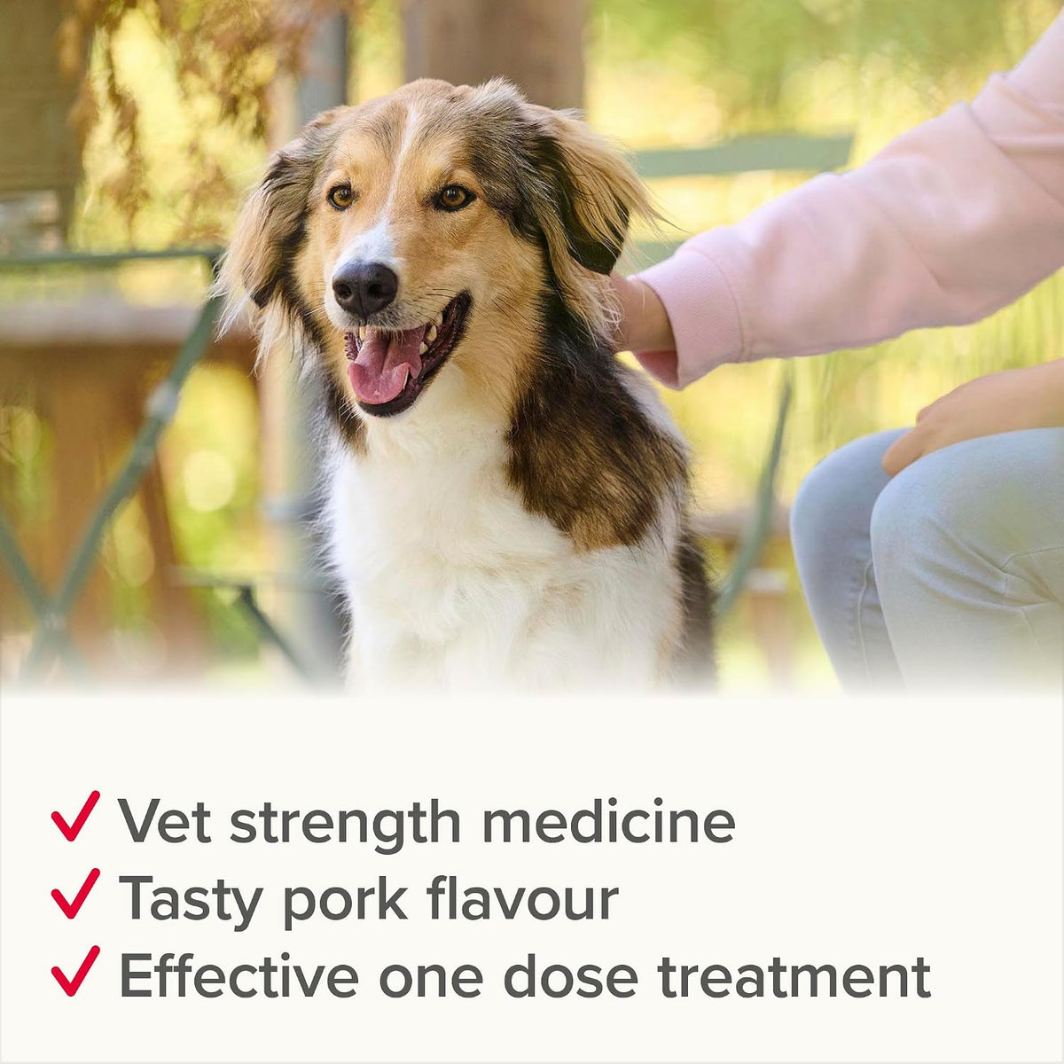 Beaphar - WORMclear® Tablets for Dogs up to 40kg - 4 Tablets - Kills All Common UK Intestinal Worms (Roundworms & Tapeworms) - Vet Strength Wormer - Pork-Flavoured - For dogs over 2 weeks old & 3kg
