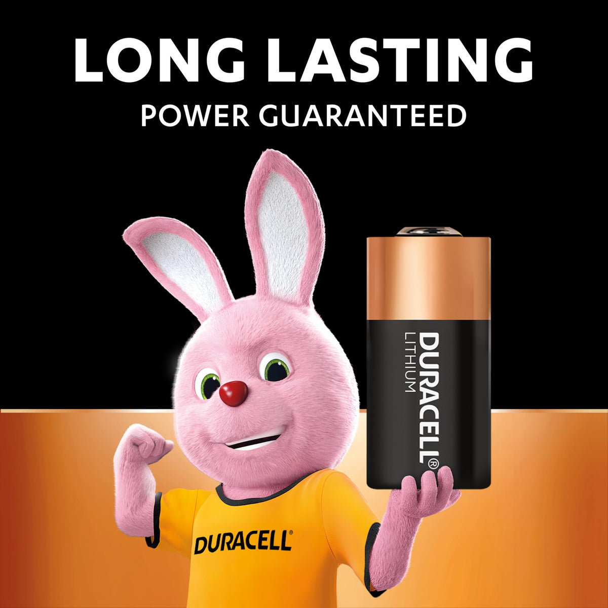DURACELL LR44 Specialty Alkaline Battery (4 Pack) 1.5V, A76