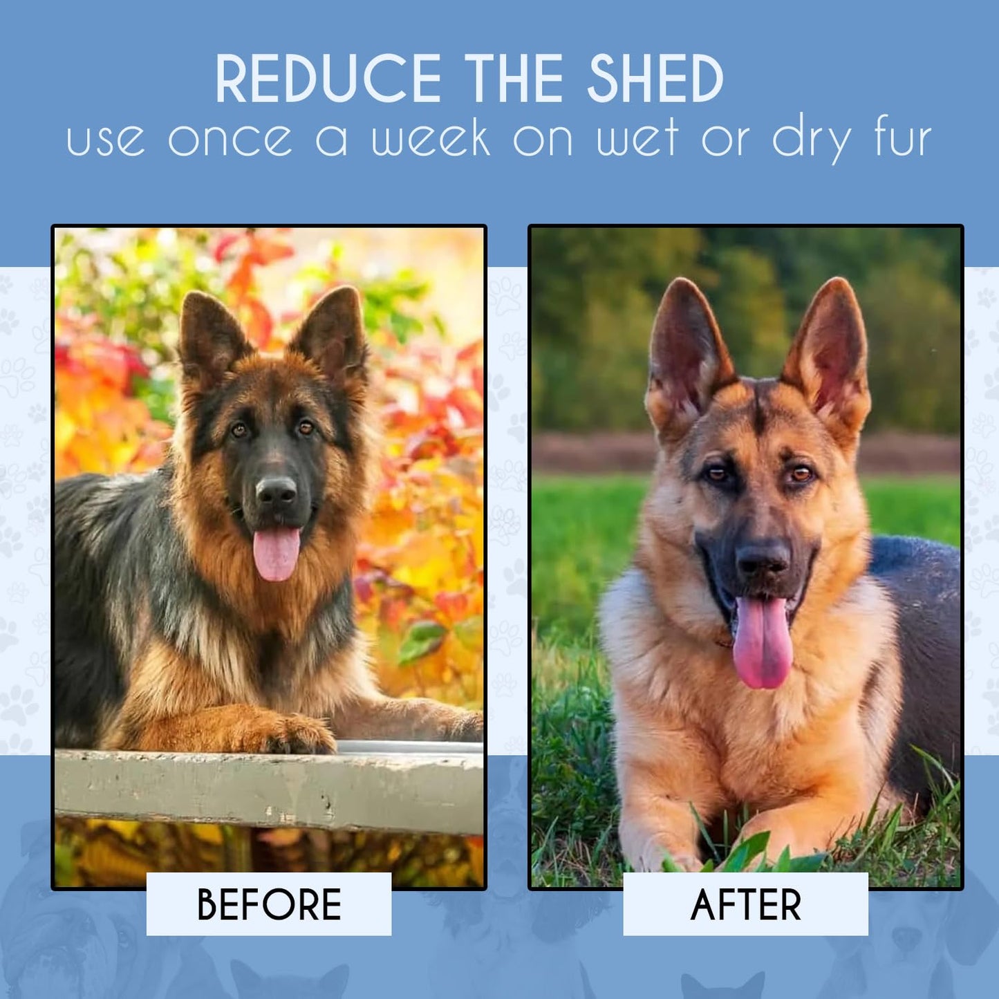 Candure Dematting Comb for Dog and Cat, Pet Grooming Rake and Brushes for Small, Medium & Large Dogs 17+9 Double Sided Deshedding Tool Removes Knots and Tangled Hair (Blue)