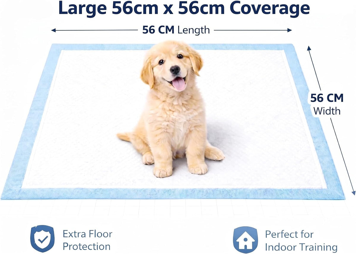 Bargain Factory - Pet Potty Training Pads Pack of 50 for Dogs Puppy Pads - Super-Absorbent 5 Layers Waterproof - 56 x 56 cm - Disposable Puppy Pee Pads