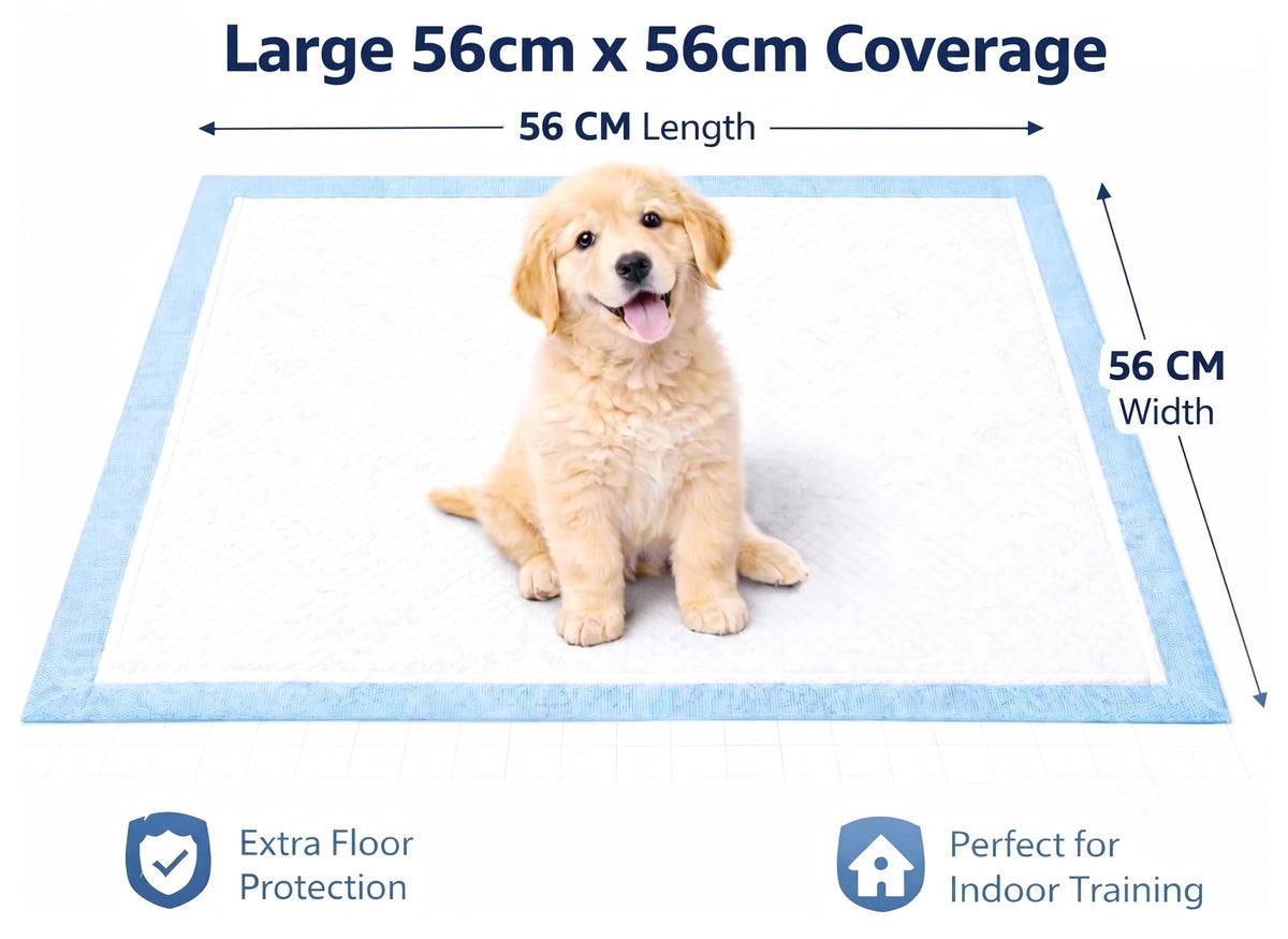 Bargain Factory - Pet Potty Training Pads Pack of 50 for Dogs Puppy Pads - Super-Absorbent 5 Layers Waterproof - 56 x 56 cm - Disposable Puppy Pee Pads