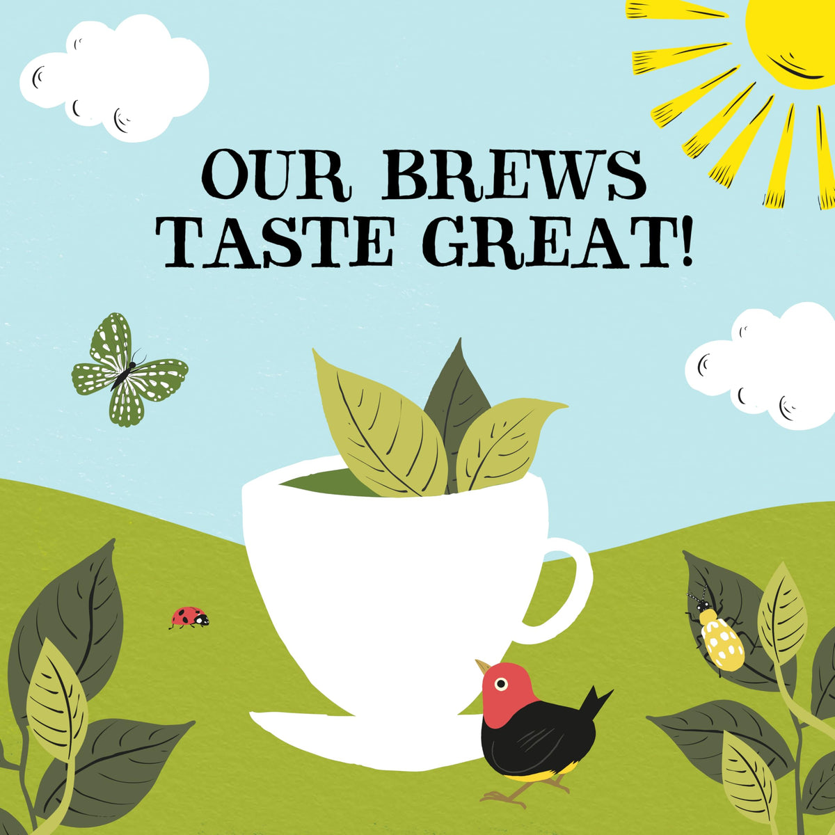 Clipper Organic Fairtrade Everyday Black Tea 1 x 80 Teabags