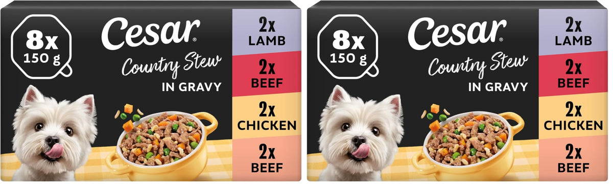CESAR Pouch Selection in Jelly, Fresh Adult Wet Dog Food Pouches in Delicious Jelly with Succulent Meats and Vegetables, 48 x 100 g