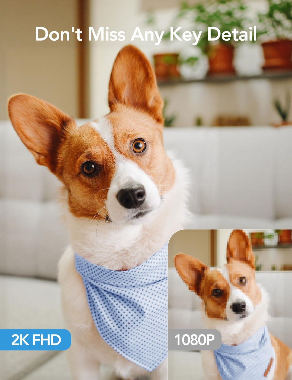 GNCC Indoor Dog Pet Camera with APP, Wifi Baby Monitor with Camera, Black