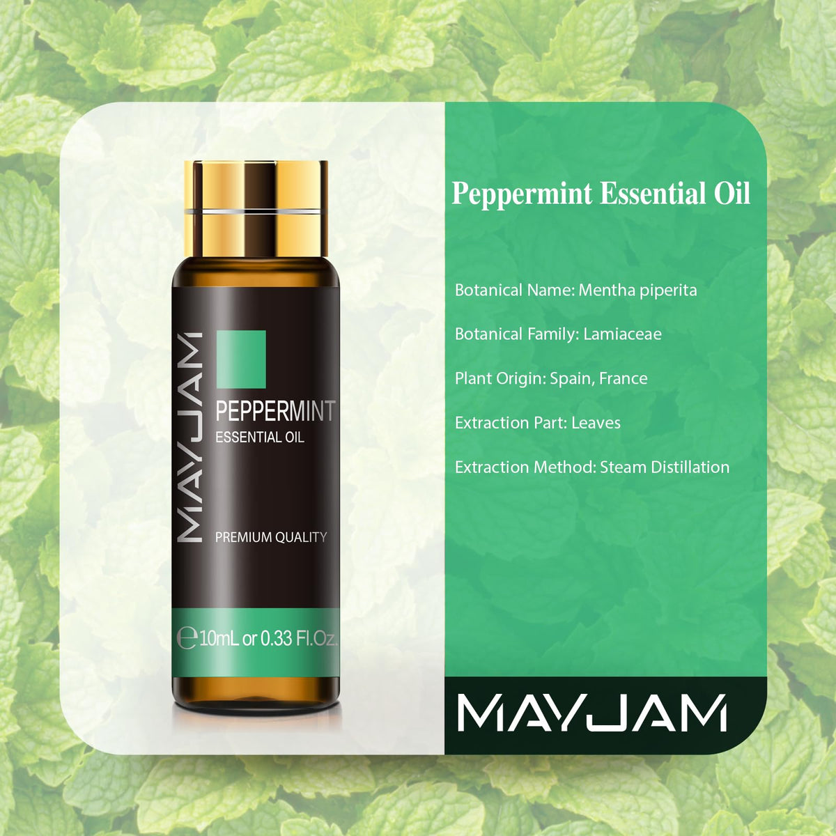MAYJAM Peppermint Essential Oil 100ML - Premium Diffuser Oil