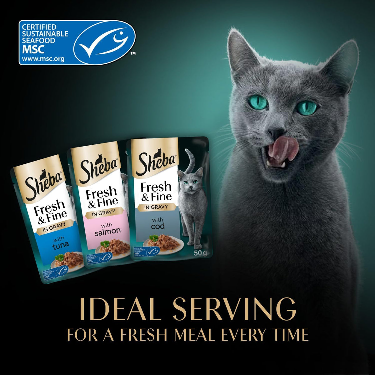 SHEBA Fresh & Fine Cat Pouches Fish collection in Gravy 50x50g