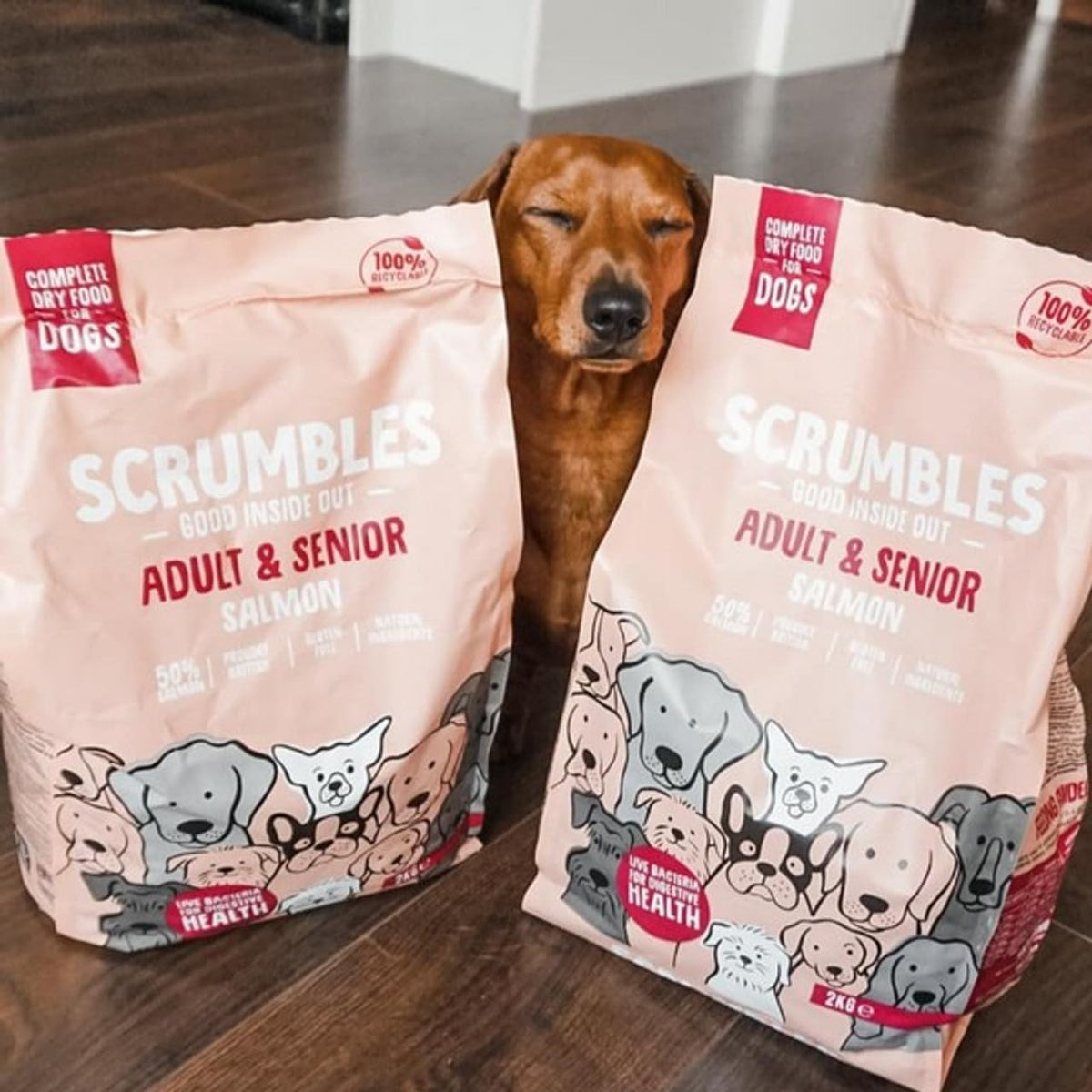 Scrumbles • Dry Dog Food • Hypoallergenic • All Lifestages • Chicken 60% • 2kg Bag • Natural Complete Adult Recipe • Gut Friendly Prebiotics & Probiotics • Gluten Free