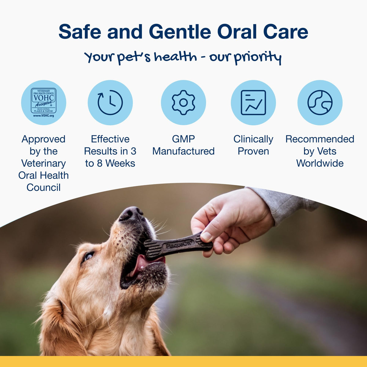 ProDen PlaqueOff 13 Dental Bones for Medium & Large Dogs, Chicken & Pumpkin