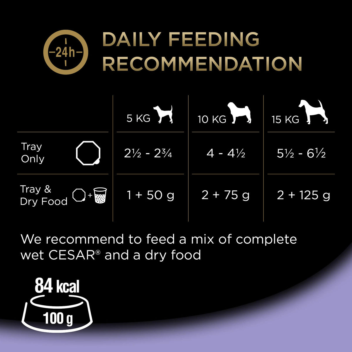 CESAR Pouch Selection in Jelly, Fresh Adult Wet Dog Food Pouches in Delicious Jelly with Succulent Meats and Vegetables, 48 x 100 g