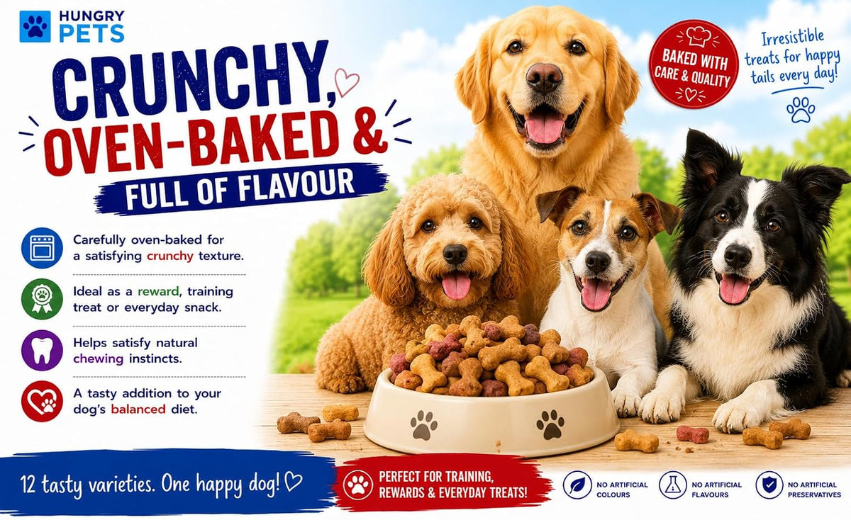 Dog Biscuit Treats 2.5L (Peanut Butter Bones)