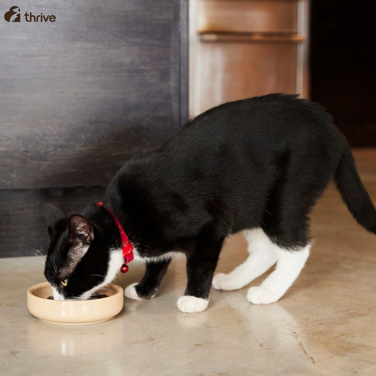 thrive Cat PremiumPlus Dry Food- CHICKEN with TURKEY 1.5kg