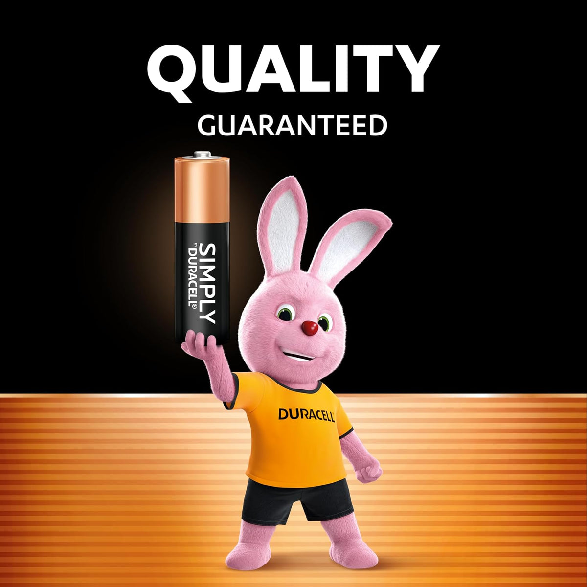 DURACELL Simply AA Batteries (48 Pack) - Alkaline Double A Battery 1.5V - Quality Guaranteed - Everyday Device - Plastic-Free Packaging