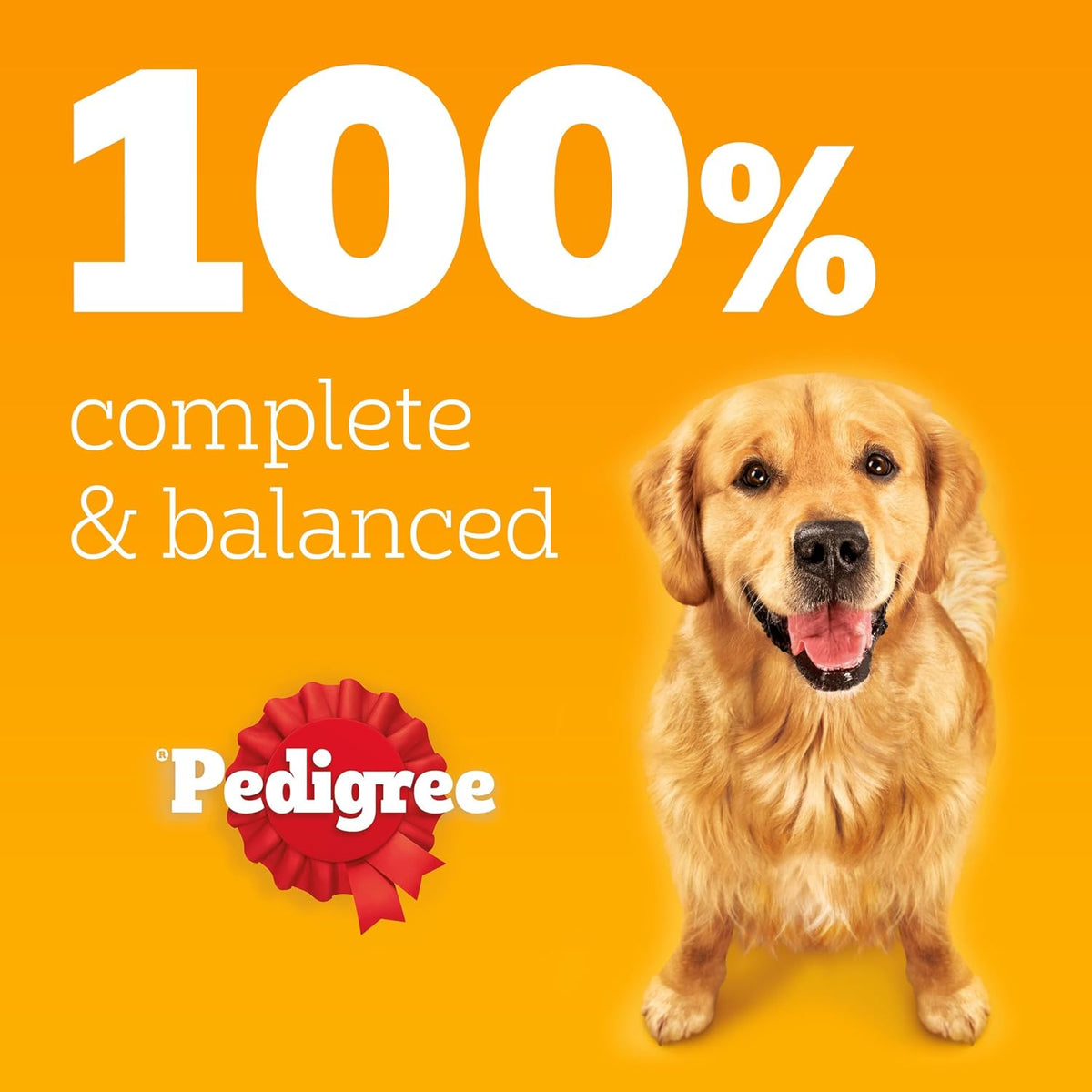 Pedigree Adult Dog Wet Food Can, Mixed Selection Gravy, 12x400g