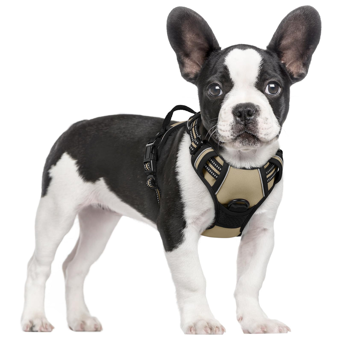 rabbitgoo Dog Harness Large Dog, No Pull Vest with Front Clip & Handle