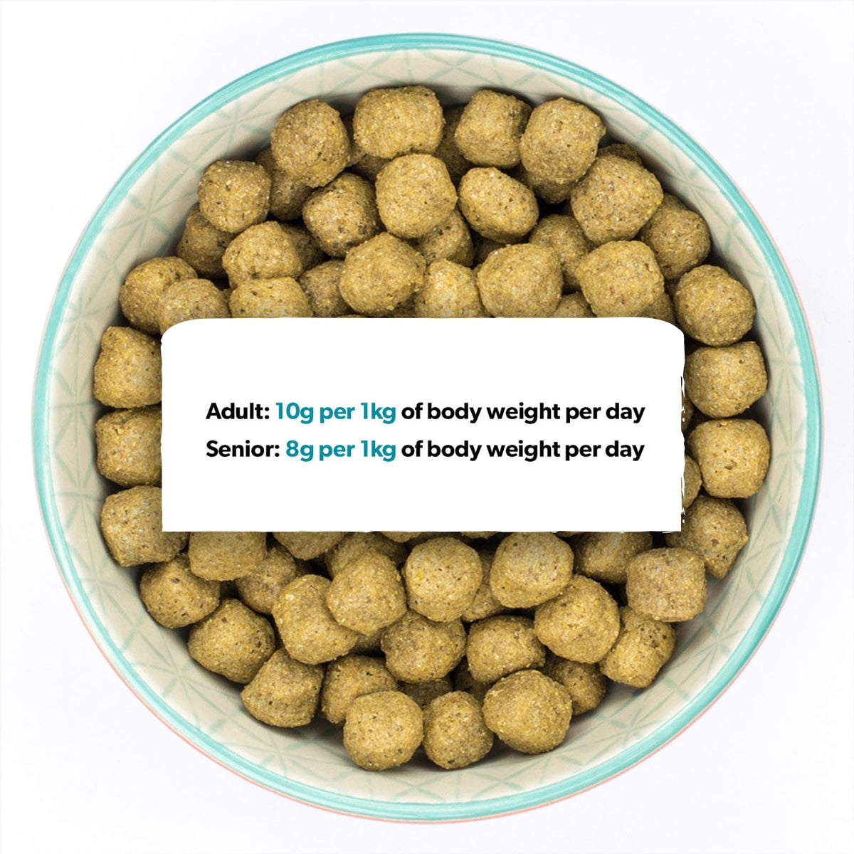 Burns Pet Nutrition Hypoallergenic Complete Dry Dog Food Adult and Senior Dog Sensitive with Pork and Potato 2 kg