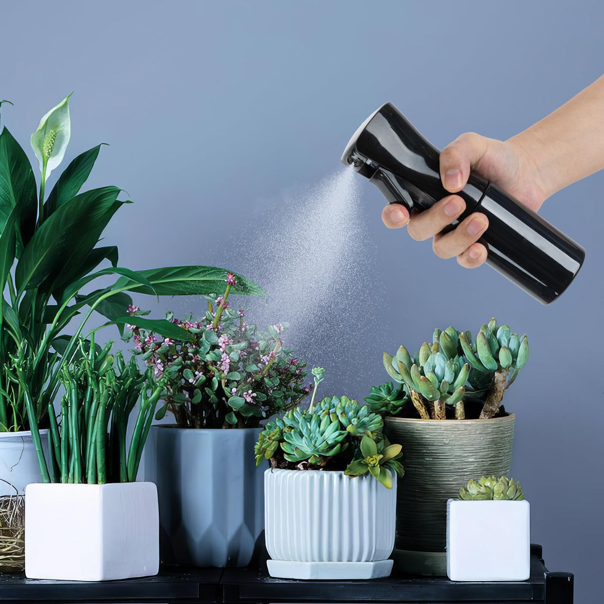 Spray Bottles Continuous Ultra Fine Mist Empty Water Bottles Hairdresser Spray Bottles Salon Hairdresser Hair Tool Water Sprayer (200ML, Mint Green)
