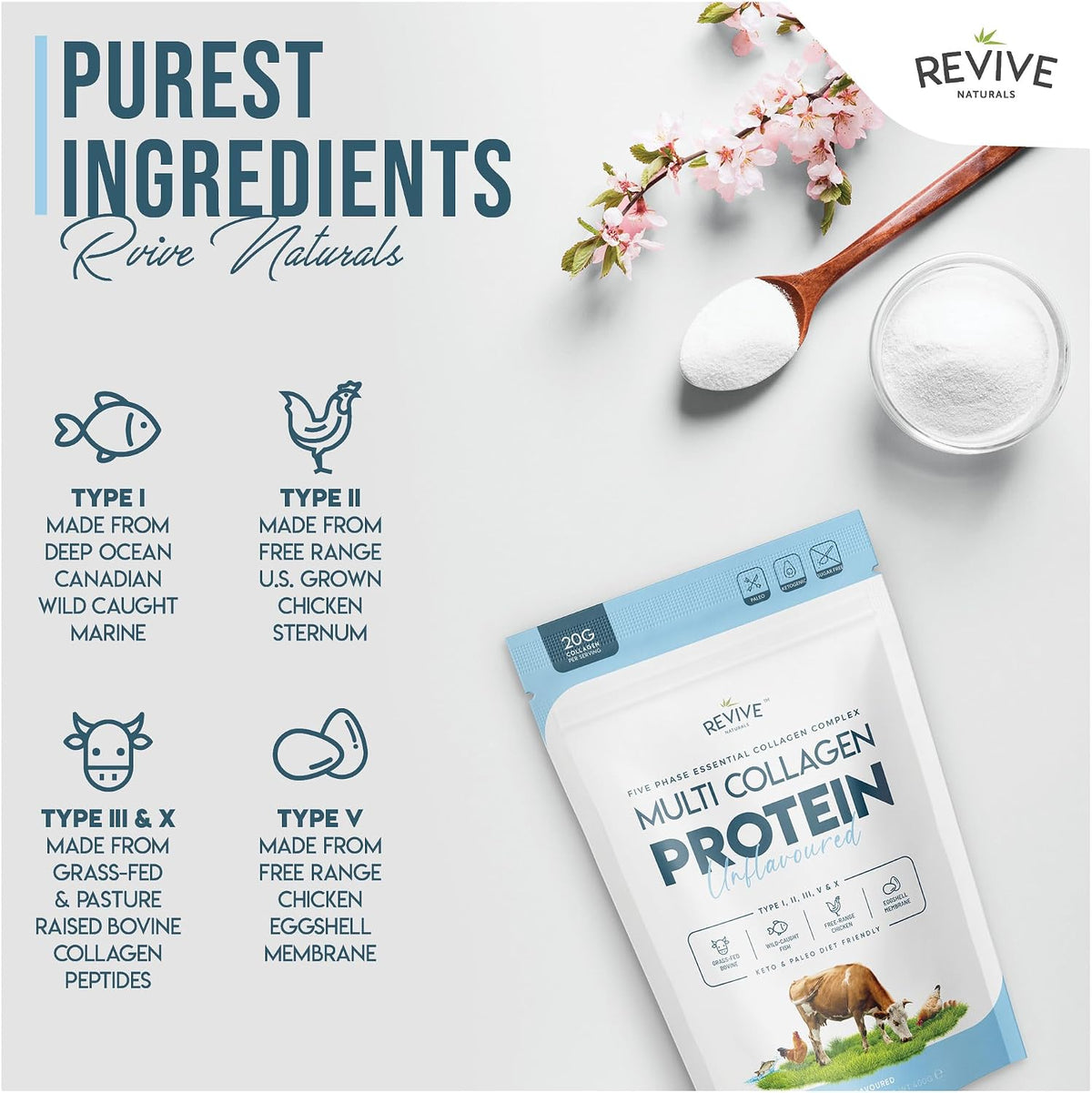 Multi Collagen Protein Powder 400g - Types I, II, III, V & X - Hydrolyzed Grass Fed Bovine, Wild Caught Fish, & Free-Range Chicken & Eggshell Collagen by Revive Naturals