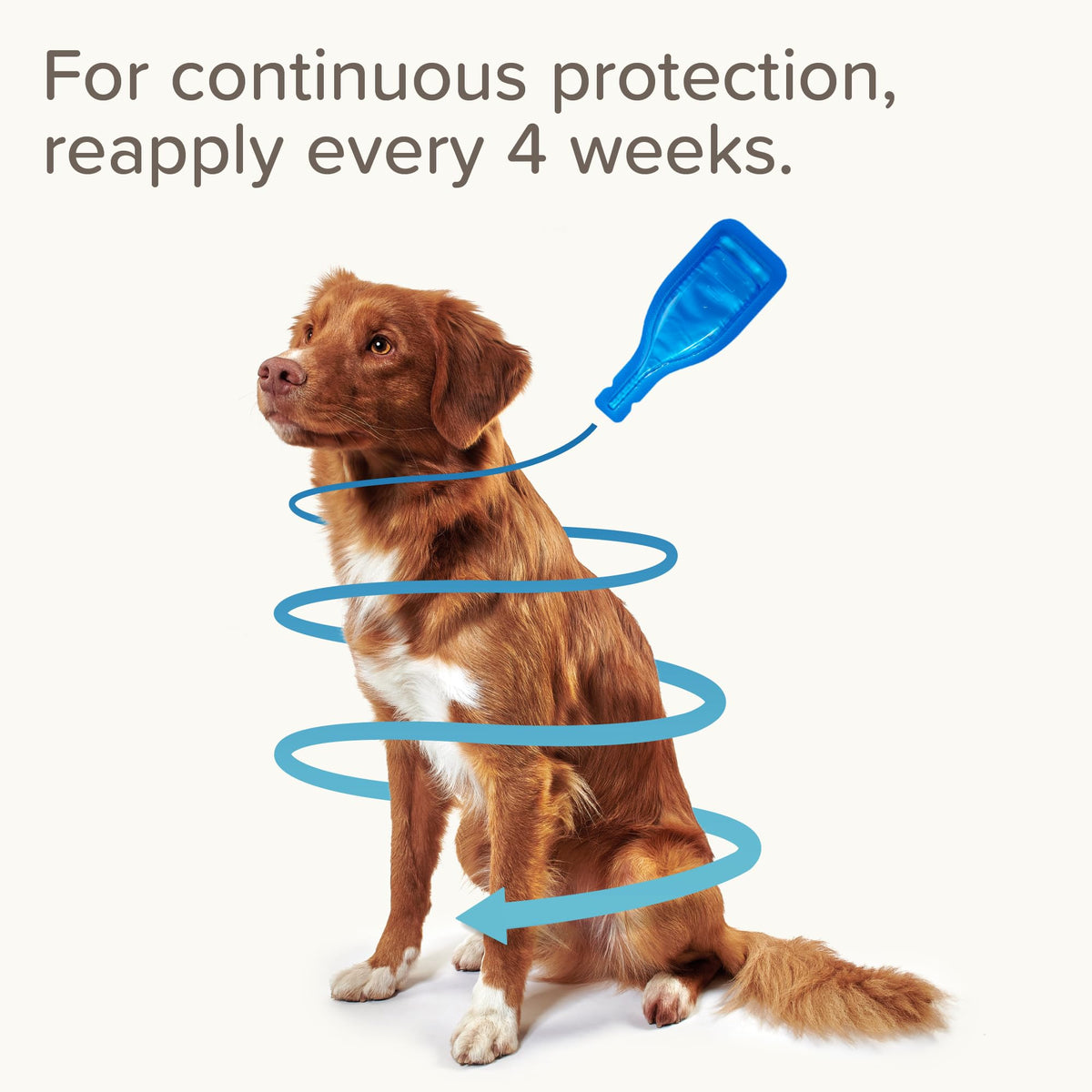 Beaphar - FIPROtec Spot-On Flea & Tick Treatment for Medium Dogs 10-20kg - 6 Pipettes - Kills Fleas & Ticks – Veterinary Medicine - Easy to Apply Monthly - Suitable for Dogs & Puppies from 8 Weeks