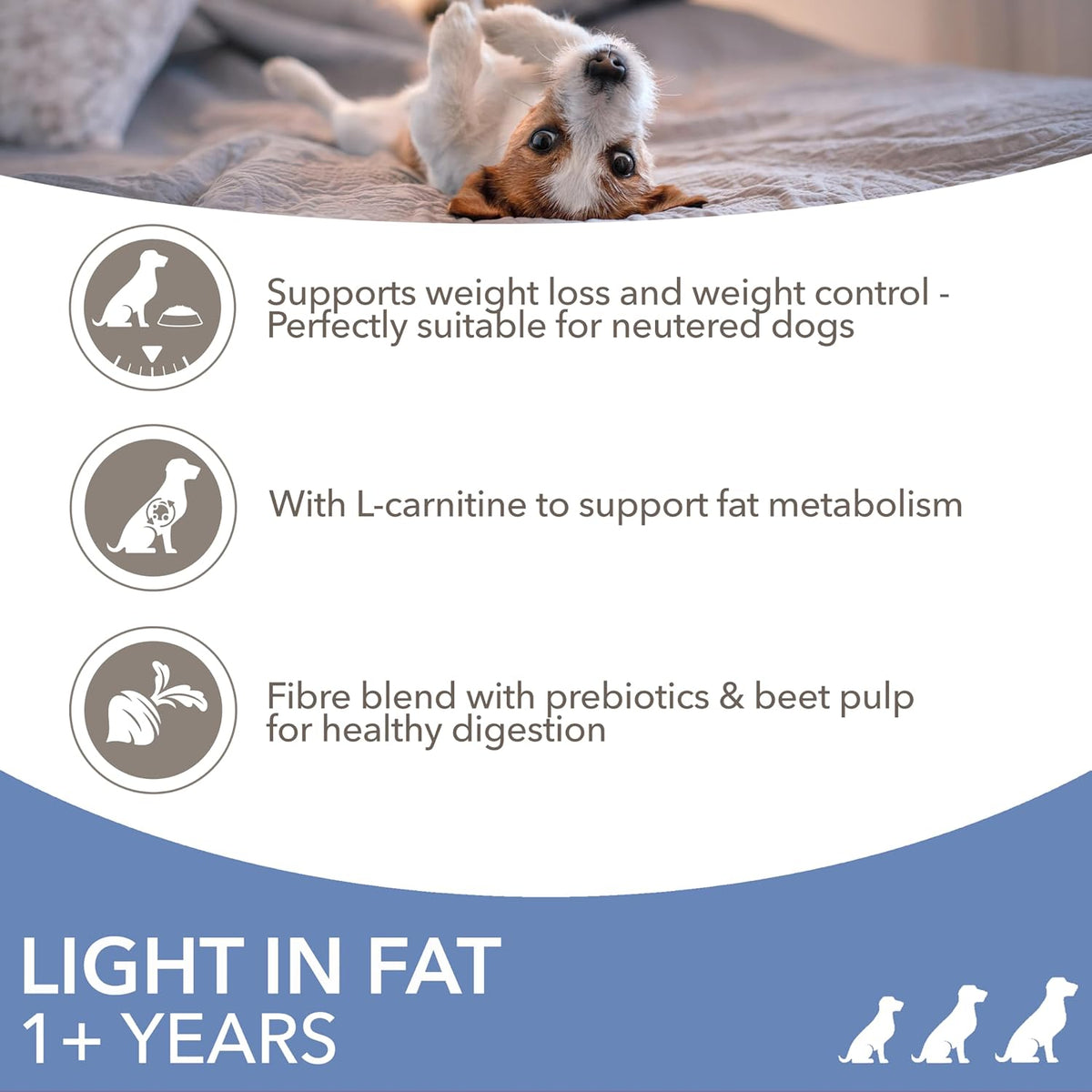 IAMS Light in Fat Complete Dry Dog Food Chicken 3kg - 30% Lower Fat Formula