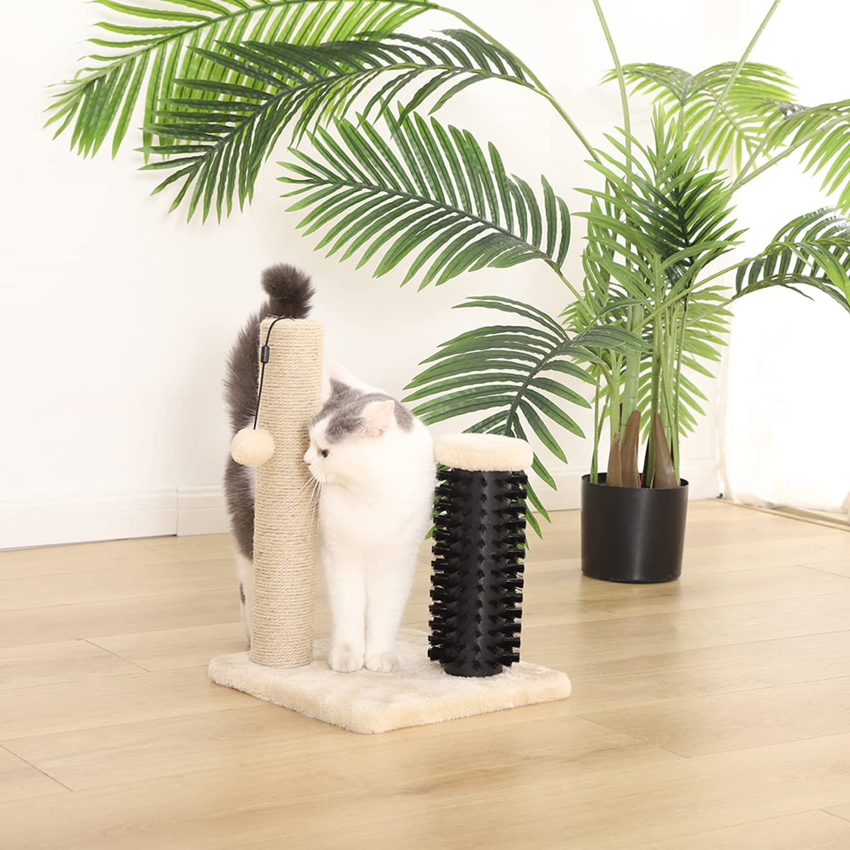 Amazon Basics Cat Scratching Post for Indoor Cats, Standard with Dangling Toy, 80 cm, Grey