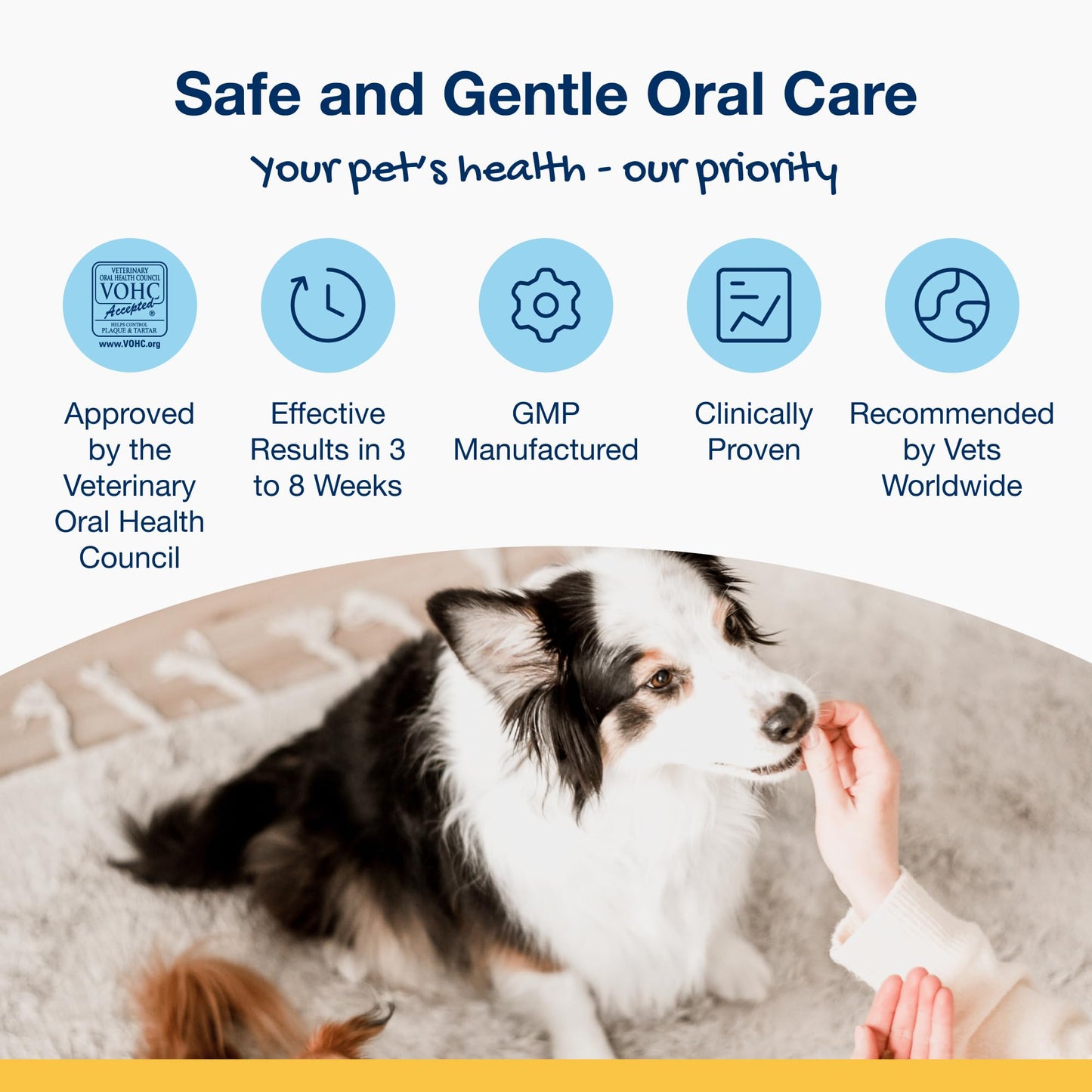 ProDen PlaqueOff Powder for Dogs & Cats, Tartar & Bad Breath Remover 100% Natural Teeth Cleaner and Plaque Remover 60 g