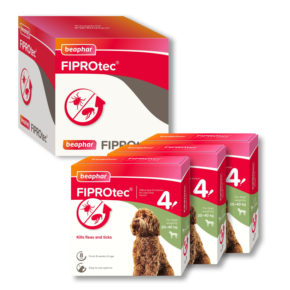 Beaphar - FIPROtec Spot-On Flea & Tick Treatment for Medium Dogs 10-20kg - 6 Pipettes - Kills Fleas & Ticks – Veterinary Medicine - Easy to Apply Monthly - Suitable for Dogs & Puppies from 8 Weeks