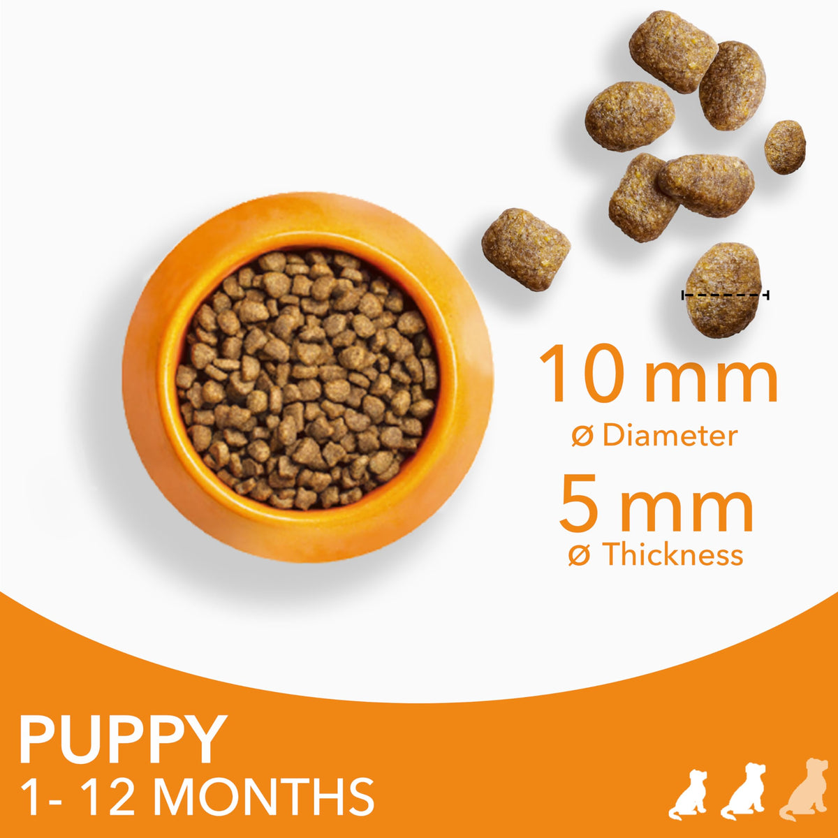 IAMS Puppy Small Medium Complete Dry Dog Food Chicken 3kg - For Healthy Growth