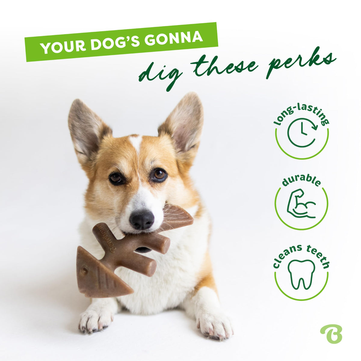 Benebone Wishbone Dog Chew Toy for Aggressive Chewers, Real Bacon, Medium