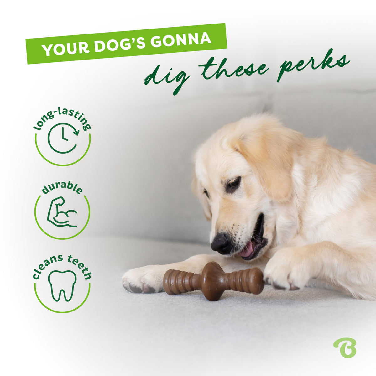 Benebone Wishbone Dog Chew Toy for Aggressive Chewers, Real Bacon, Medium