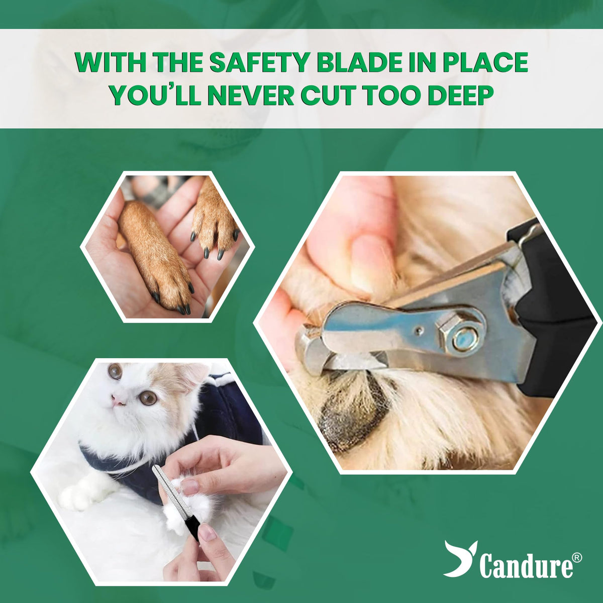 Candure Dog Nail Clippers for Large, Medium and Small Breed Professional Pet Nail Clipper Suitable for Cats, Rabbits and Guinea Pigs with Safety Lock (All Size Pets, Dark Blue)