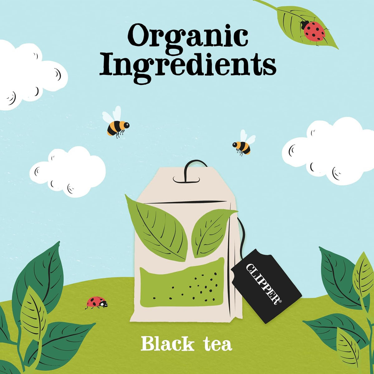Clipper Organic Fairtrade Everyday Black Tea 1 x 80 Teabags