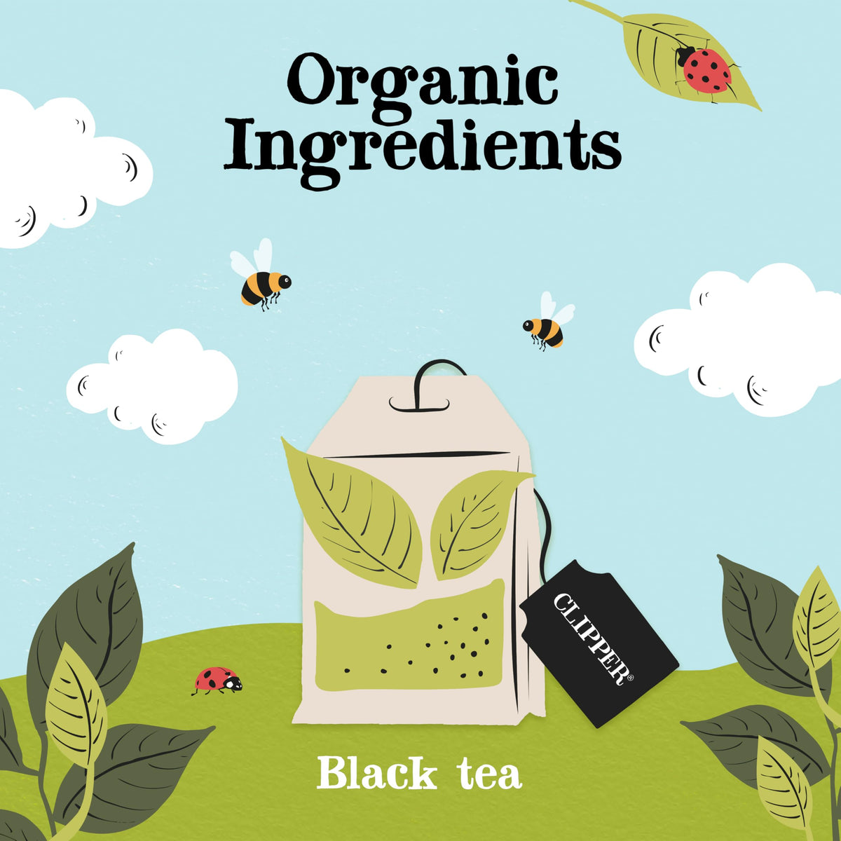 Clipper Organic Fairtrade Everyday Black Tea 1 x 80 Teabags