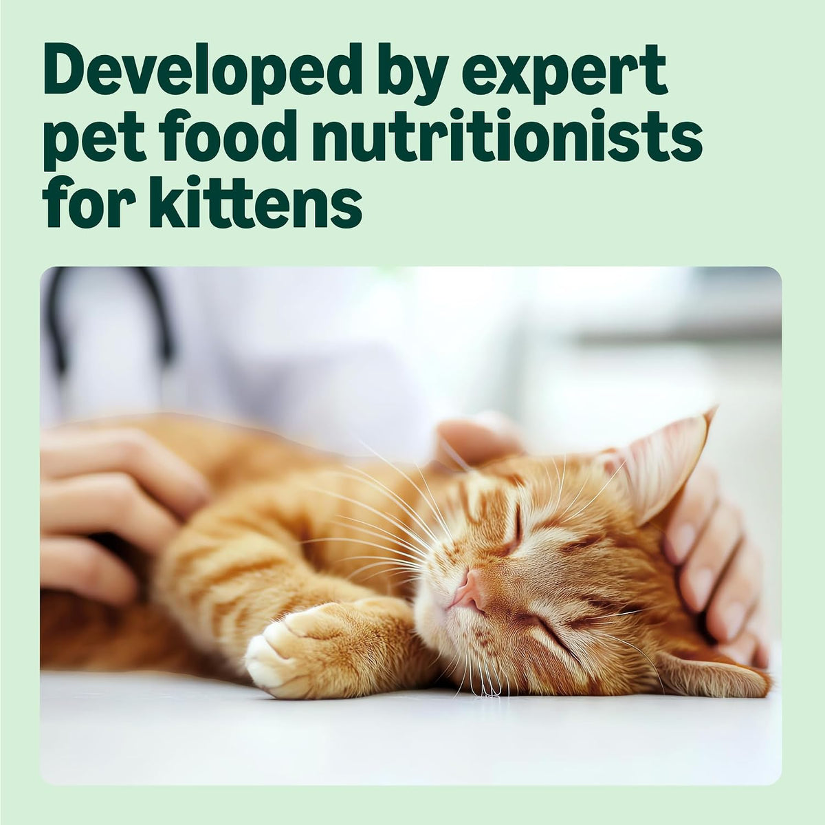by Amazon Complete Wet Food for Kittens, Mixed Selection in Jelly, 1.2kg (12 pouches of 100g)
