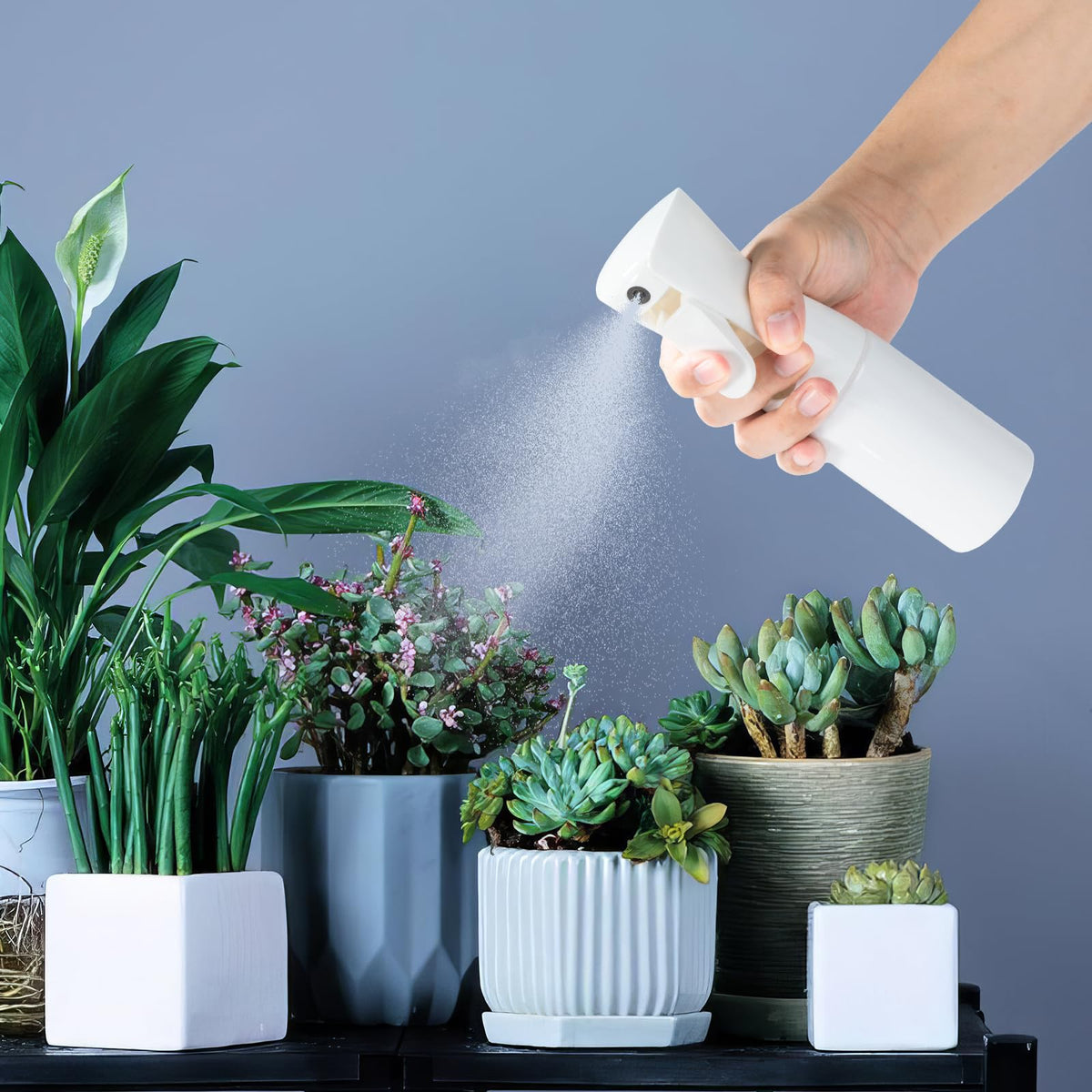 Spray Bottles Continuous Ultra Fine Mist Empty Water Bottles Hairdresser Spray Bottles Salon Hairdresser Hair Tool Water Sprayer (200ML, Mint Green)