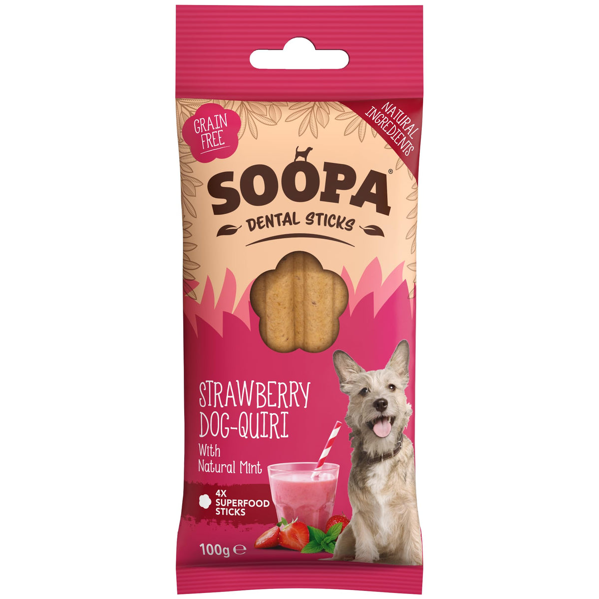 Soopa Carrot & Pumpkin Dog Dental Sticks, Chews to Clean Teeth, 100 g, 1-Pk