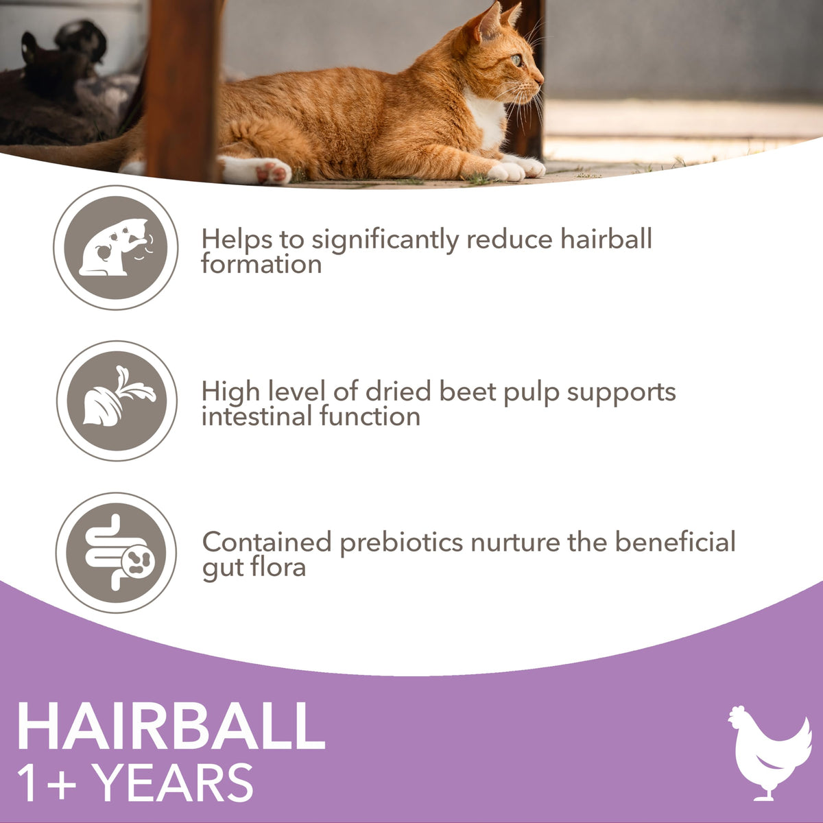 IAMS Hairball Complete Dry Cat Food Chicken 3kg - Significantly Reduces Hairball Formation