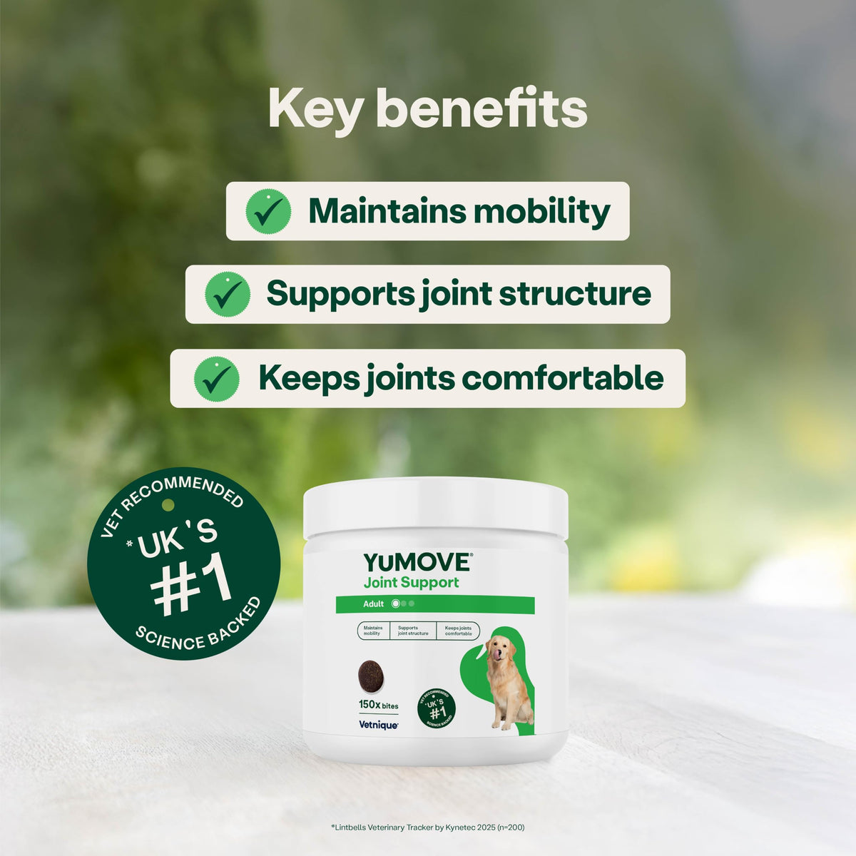 YuMOVE Joint Supplement for Dogs, Daily Bites for Joint Care, Essential Dog Hip and Joint Support for Stiff Adult Dogs with Glucosamine, Chondroitin, Green Lipped Mussel, 60 Tablets