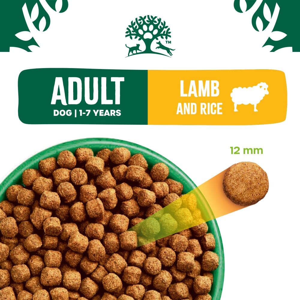 James Wellbeloved Dog Adult Hypoallergenic Dry Food Turkey and Rice 2 kg
