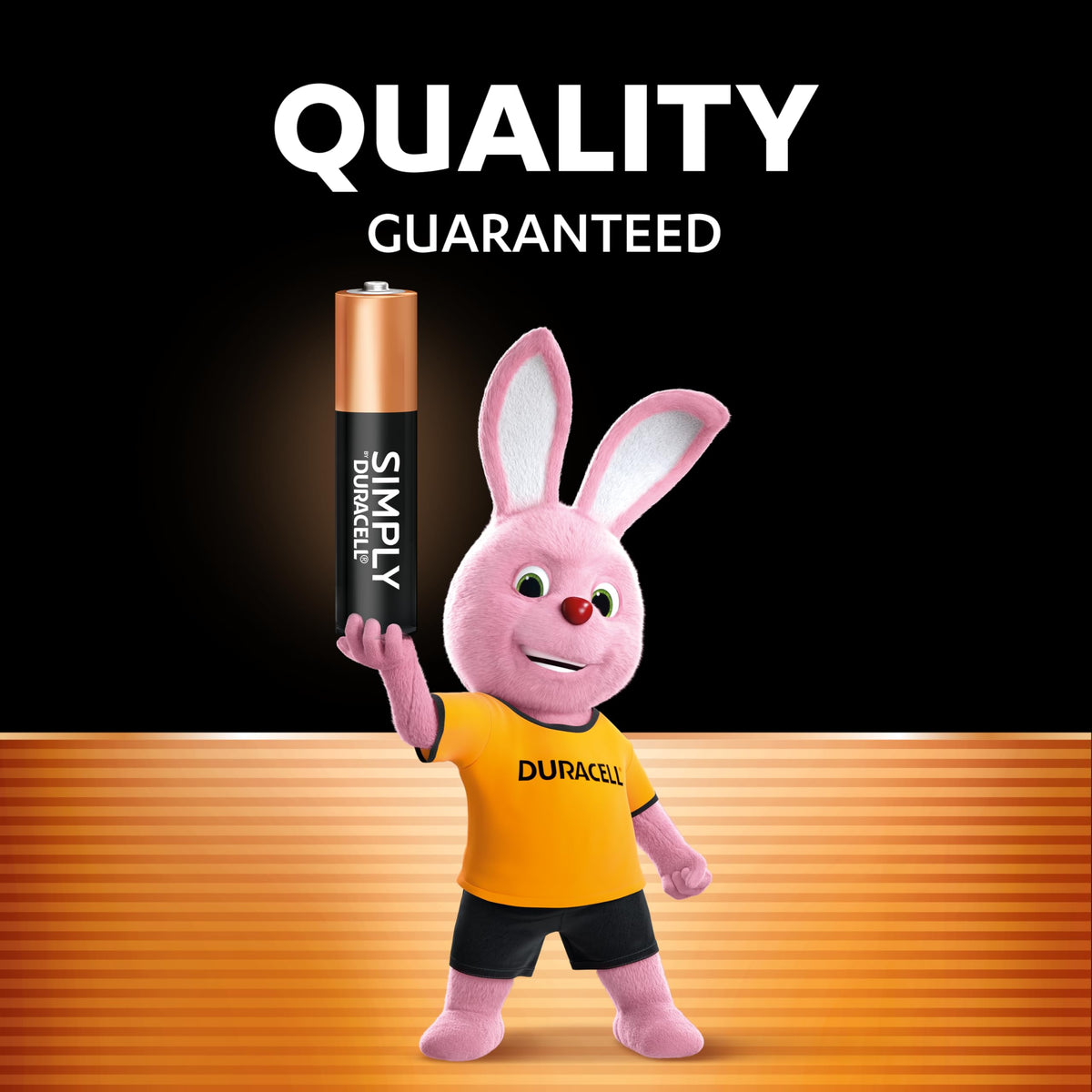 DURACELL Simply AA Batteries (48 Pack) - Alkaline Double A Battery 1.5V - Quality Guaranteed - Everyday Device - Plastic-Free Packaging